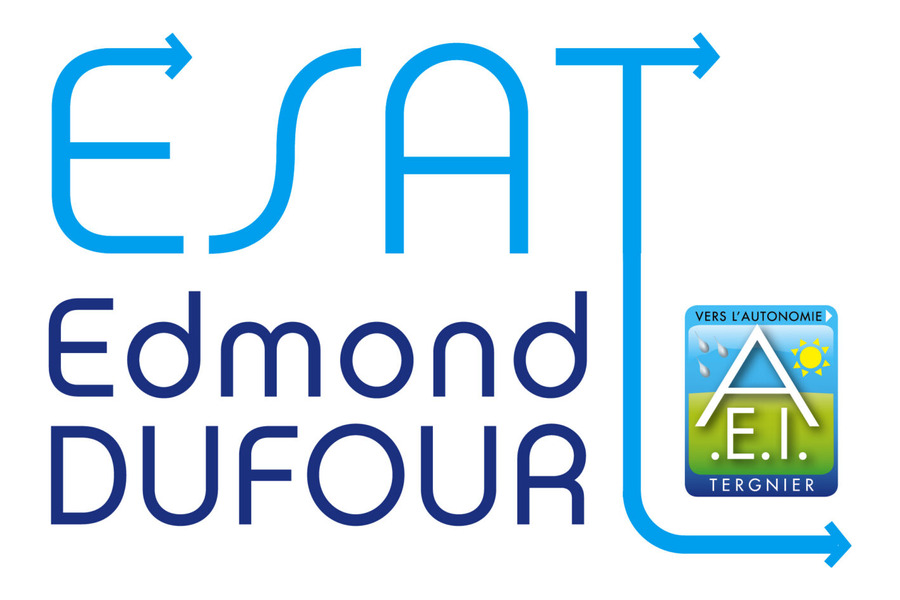 Logo ESAT Edmond Dufour